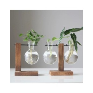 Macetero de escritorio de vidrio creativo, florero de bombilla, soporte de madera, contenedor de plantas hidropónicas, jarrones 