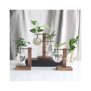 Macetero de escritorio de vidrio creativo, florero de bombilla, soporte de madera, contenedor de plantas hidropónicas, jarrones 