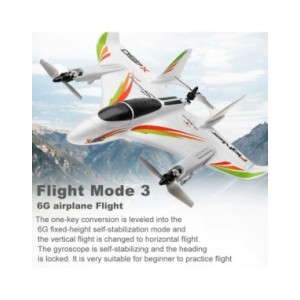 WLtoys-avión planeador Vtol sin escobillas X450, Avión de ala fija, 2,4G, 6 CANALES, 3D/6G, Control remoto Vertical de Avion