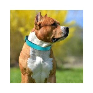 Collar reflectante para perros medianos y grandes, acolchado de neopreno suave, nailon transpirable, ajustable, 25 a 60 centímet