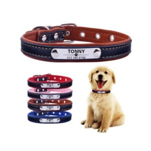 AiruiDog-Collar de cuero para perro, ajustable, personalizado, nombre de identificación para cachorro, grabado personalizado, XS