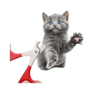 Cortaúñas profesional para perros y gatos pequeños, cortador de garras para cachorros, tijeras de uñas para mascotas, accesorios